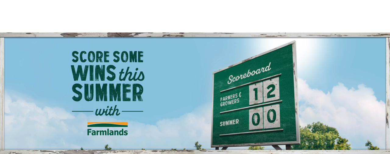 summer-surge-hompage-banner